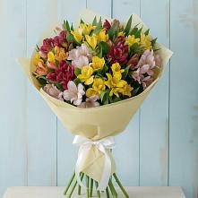 Букет цветов из:  Альстромерии в Красногвардейском