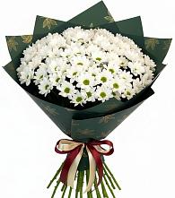 Букет цветов из:  Хризантемы #REPLACE_PRED# Красногвардейском