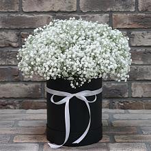 Цветочная композиция из Гипсофила в шляпной коробке в Красногвардейском