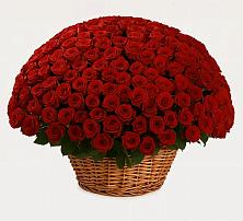 Премиум букет из: Розы в Красногвардейском